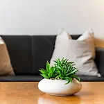 Plathner By Interhome Appartement Bad Hofgastein