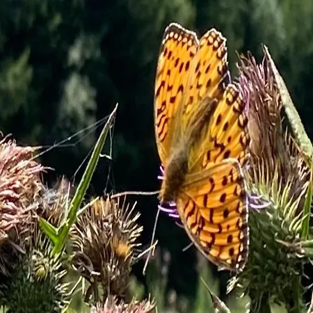 Plathner By Interhome Апартаменты *