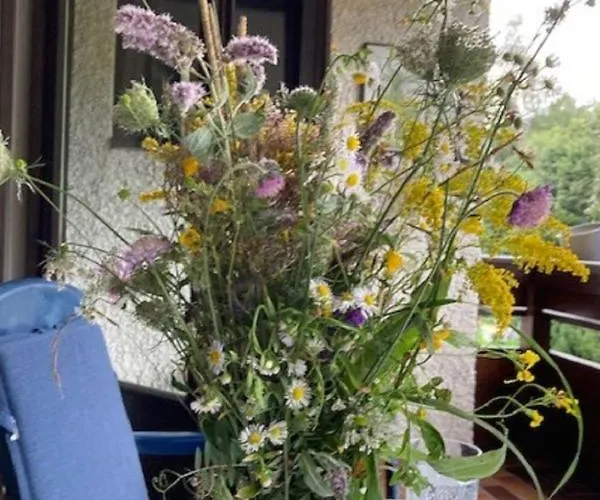 Apartman Plathner By Interhome *